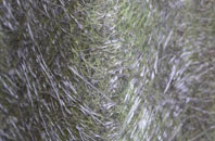 Mouldsworth fibreglass roof work